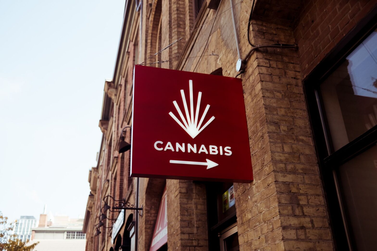Minnesota Cannabis Directory: Find Licensed Operators Statewide