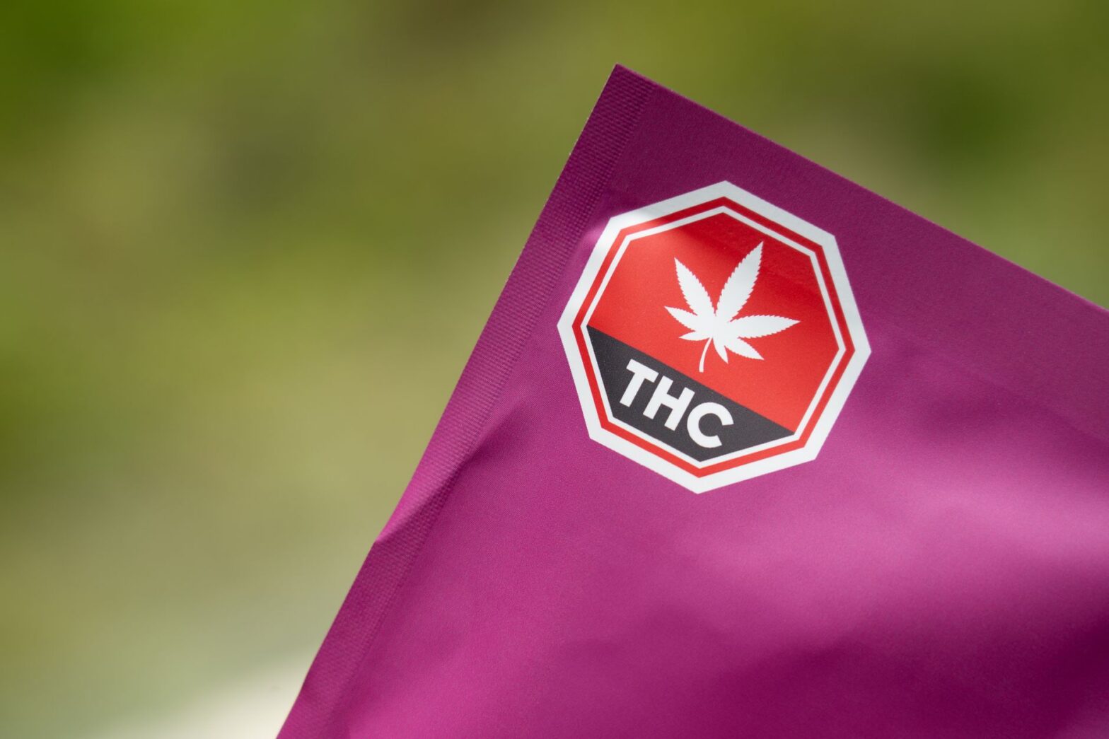 Minnesota Cannabis Compliance Requirements for Operators: A Practical Guide