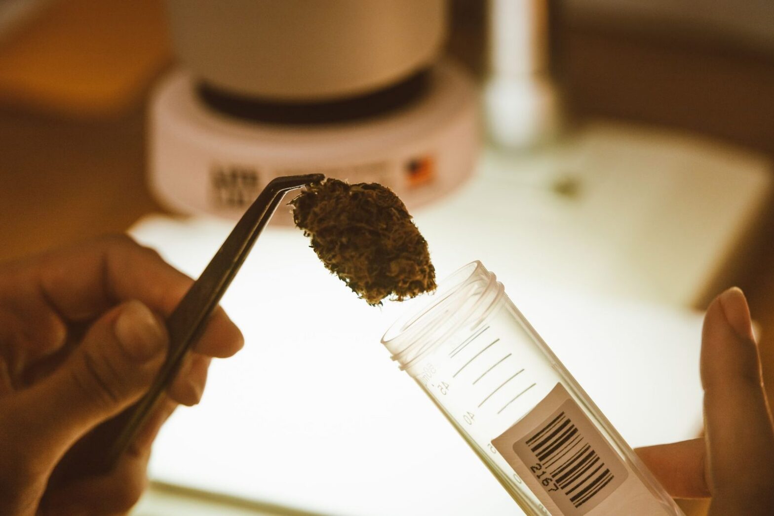 Minnesota Licensed Cannabis Testing Labs: A Directory for Operators