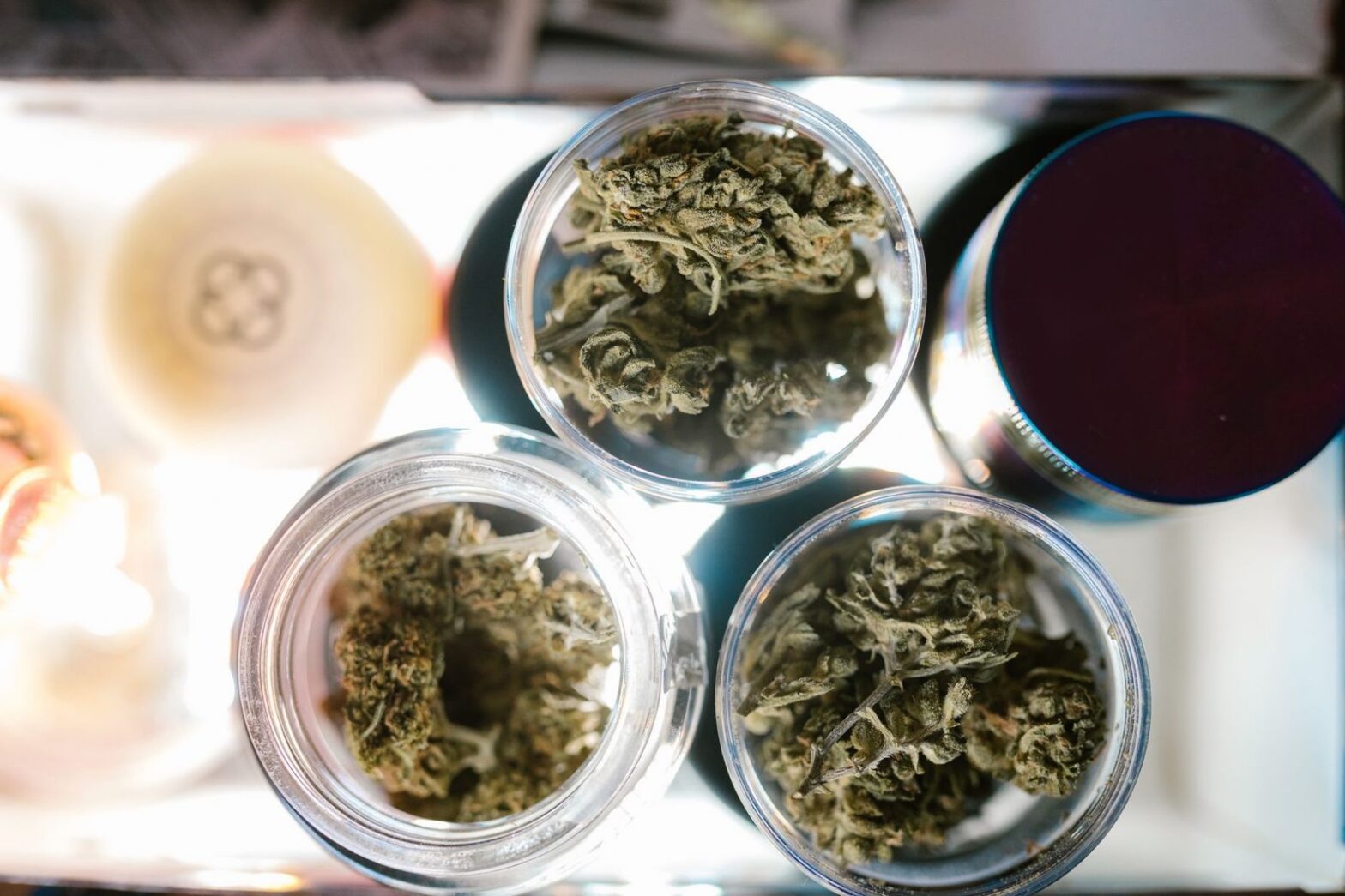 Cannabis Dispensary Licensing in Minnesota: What Operators Need to Know